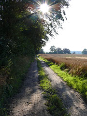 Wald und Flur auf Gut Augustenhof